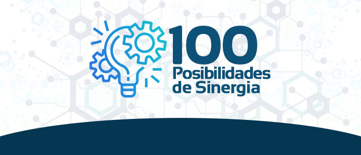 100 Posibilidades de Sinergia