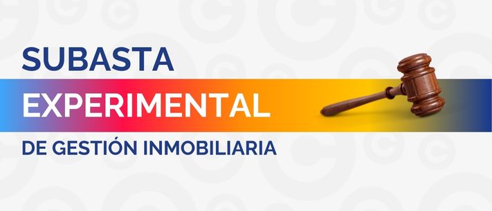 Subasta Experimental en Cervantes